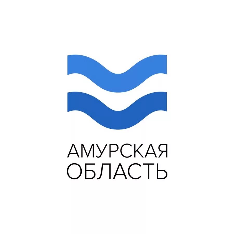 Логотип Амурской области. Инвестиционный Амурской области logo. Бренд Амурской области. Правительство Амурской области логотип. Амурская область огрн