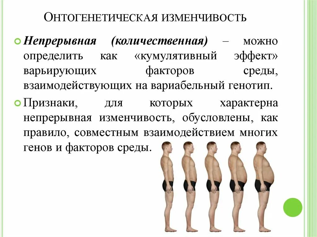 Примеры изменчивости у человека. Онтогенетическая наследственная изменчивость. Онтогенетическая изменчивость наследственная и ненаследственная. Наследственность фенотипическая онтогенетическая. Онтогенетическая изменчивость примеры.