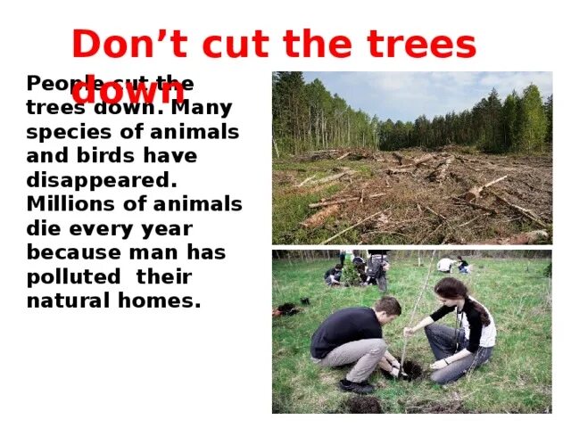 To Cut down предложения. To Cut down Trees. Третья форма Cut down. Don't Cut down Trees игра настольная. Cut them down