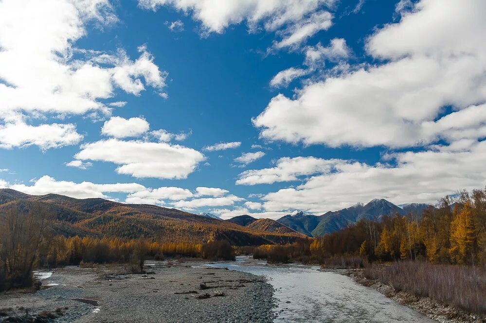 Колыма (река). Армань (река). Исток Колымы. Река Колыма Магадан. Колыма танечка