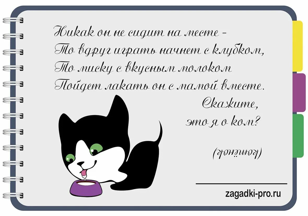 Придумать загадку про кота. Загадка про котенка. Загадка про кота. Загадка про котенка для детей. Загадки про котиков для детей.