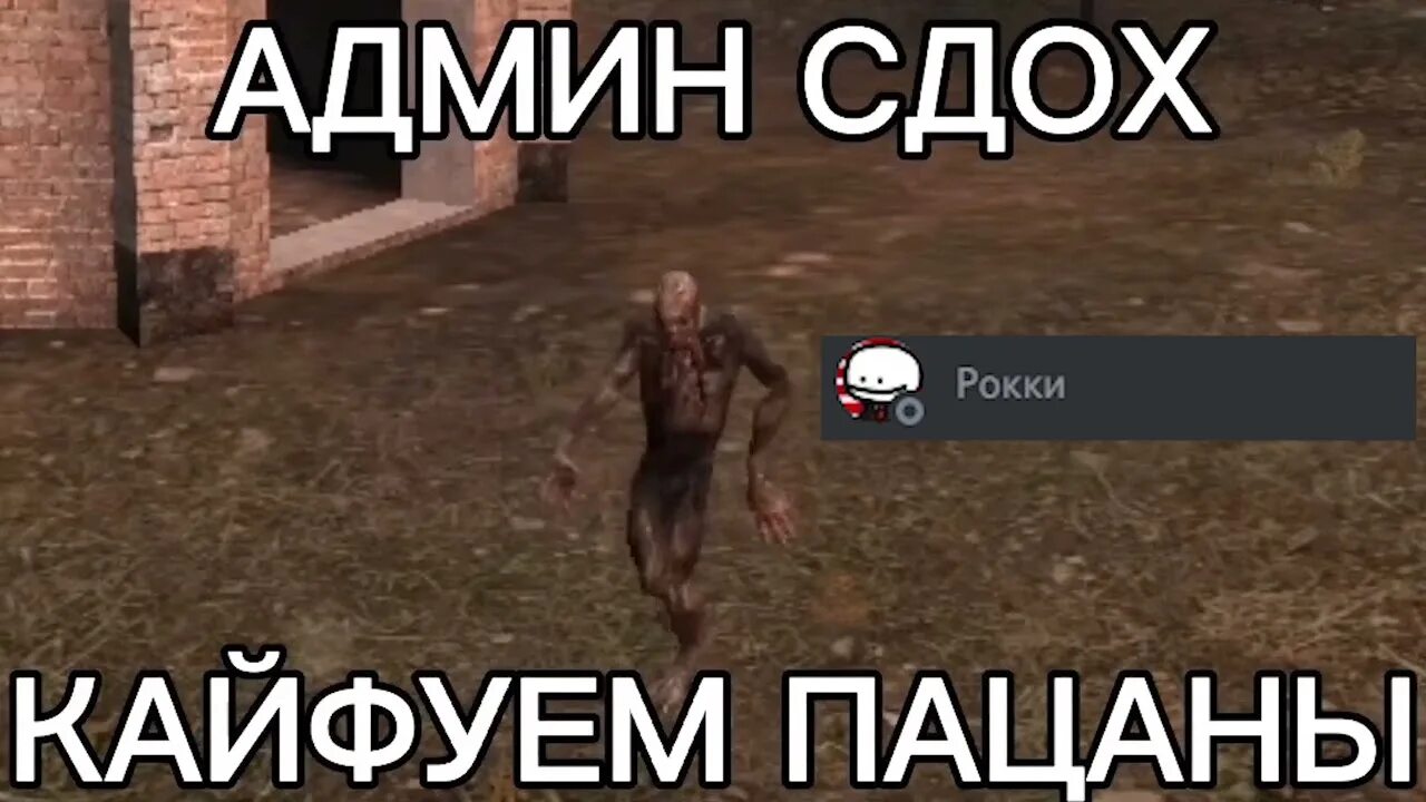 Мемы про админа. Кайфуем пацаны админ. Админ кайфует. Админ gif. Мать кайфует