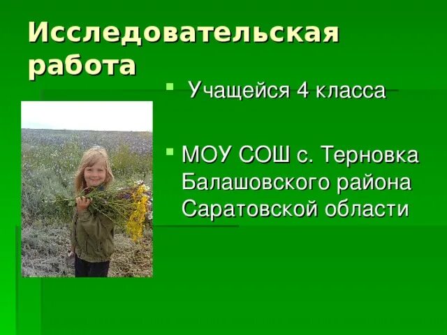 Погода родничок балашовский район. Терновская школа Балашовского района. Терновка Саратовская область Балашовский район. Сайт МОУ СОШ С Терновка Балашовского района Саратовской области. Село Терновка Саратовская область.