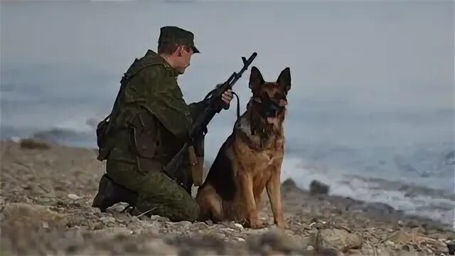 На границе ходят. Пограничник на границе. Пограничные войска Дальний Восток. Пограничный наряд с собакой. Погранвойска Благовещенск.