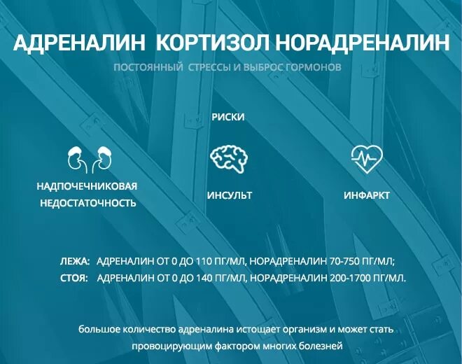 Норадреналин это гормон стресса. Адреналин и норадреналин стресс. Повышение адреналина симптомы. Выброс адреналина симптомы. Повышен уровень адреналина в крови