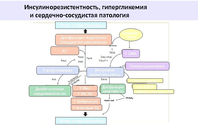 Инсулинорезистентность симптомы у мужчин. Инсулинорезистентность. Признаки инсулинорезистентности. Инсулинорезистентность схема. Инсулинорезистентность и воспаления.