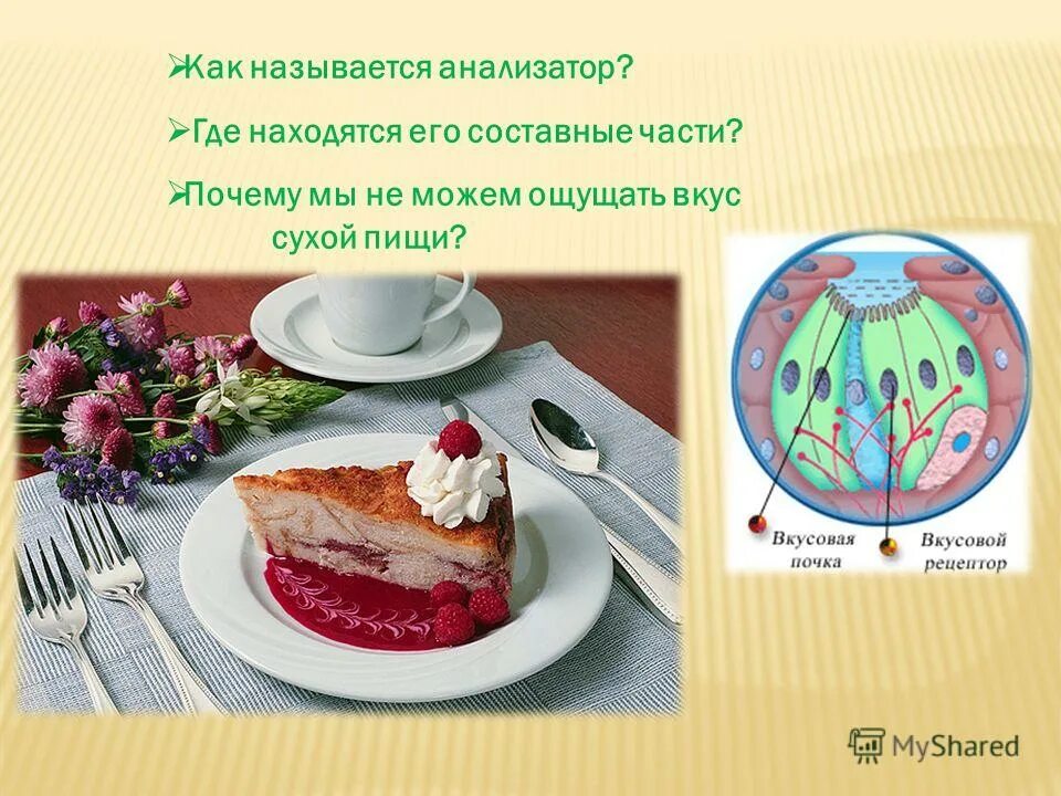 Человек кушает. Какую пищу человек не чувствует. Отсутствие еды. Вкусная здоровая еда. Еда на женщине.