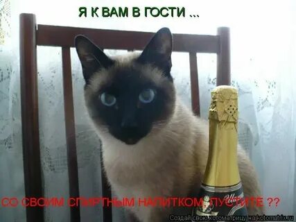 Друзья разъехались и не кого позвать