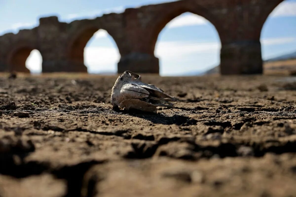 Европа страдает. Голодные камни. Засуха в Европе. Испания засуха Церковь. Засуха и неурожай в Испании.
