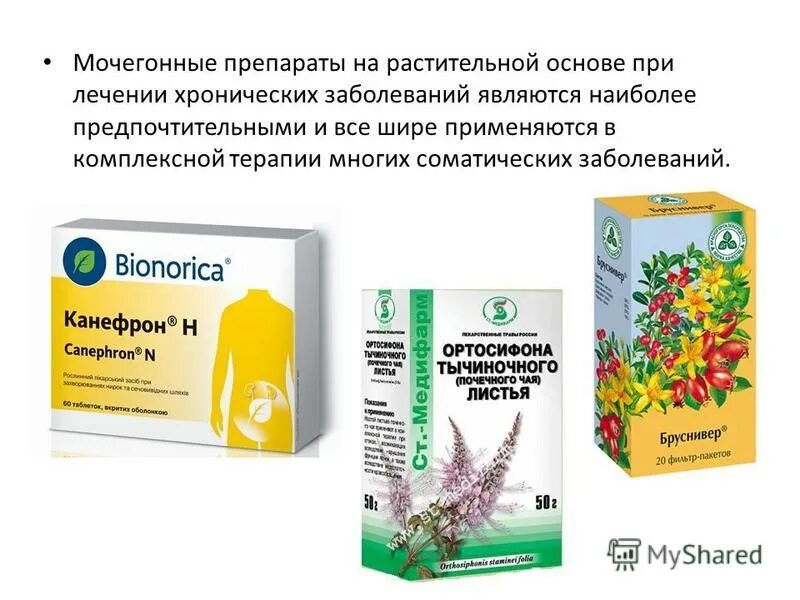 Что можно попить от отеков. Мочегонные средства препараты. Лекарства растительного происхождения. Лекарство мочегонно ва. Мочегонные препараты на травах.