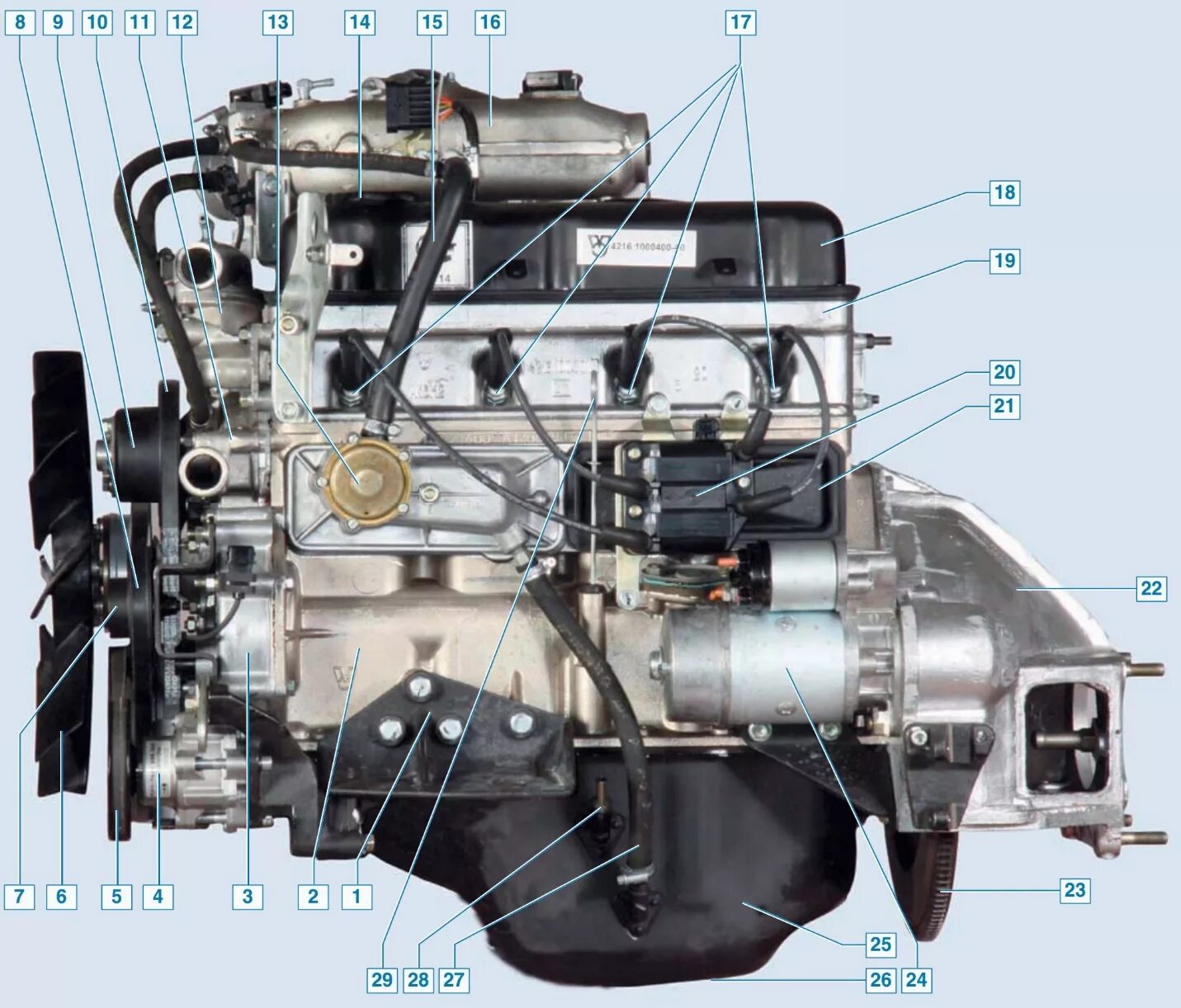 Двигатель умз технические характеристики. ГАЗ 2705 двигатель УМЗ 4216. Двигатель ГАЗ-3302 УМЗ-4216. Двигатель на Соболь 421. Датчики двигателя УМЗ 4216 евро 3.