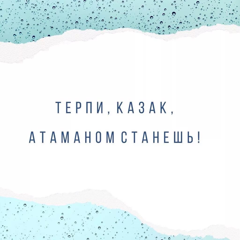 Терпи казак атаманом станешь. Художница силуэтов елизавета бэм. Терпи казак атаманом будешь. Терпи атаманом будешь. Кому принадлежит высказывания терпи казах атаманом будеш.
