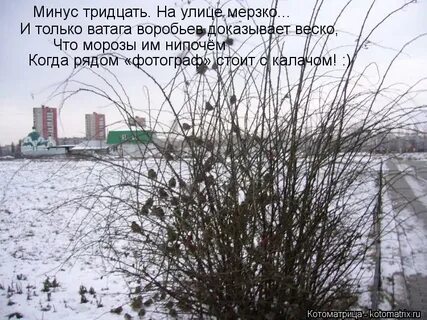 Минус 30 минус 27