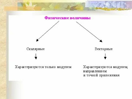 Какие величины являются векторными примеры Которые величин являются векторными