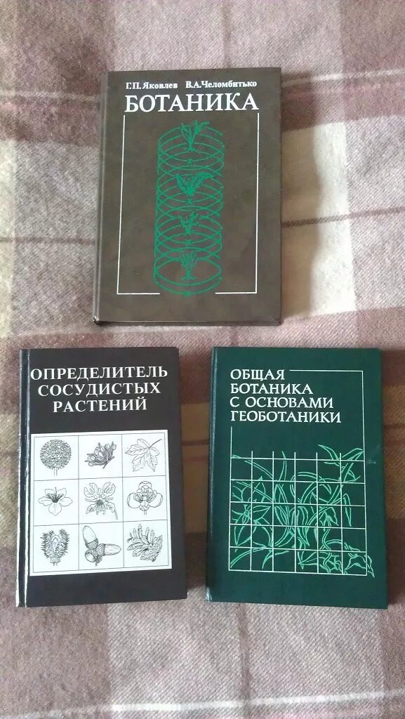 Ботаника Яковлев Челомбитько. Челомбитько ботаника учебник. Справочник по ботанике. Книги по ботанике. Ботаника вузы