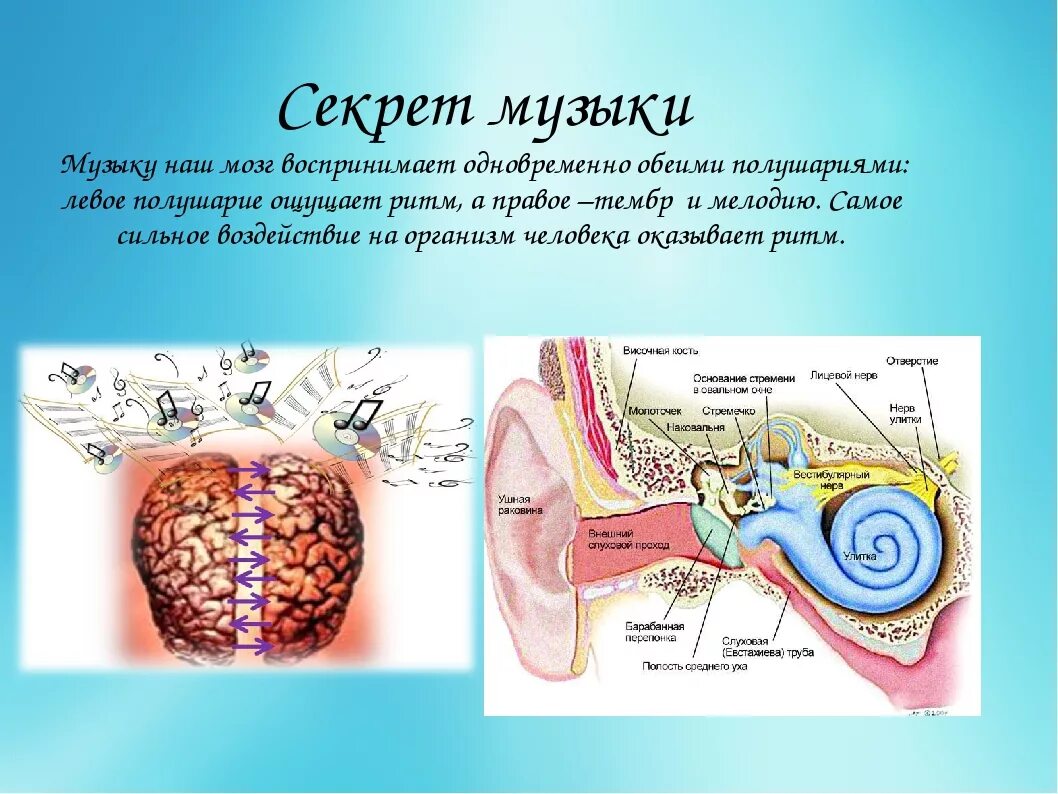 Как музыка влияет на мозг