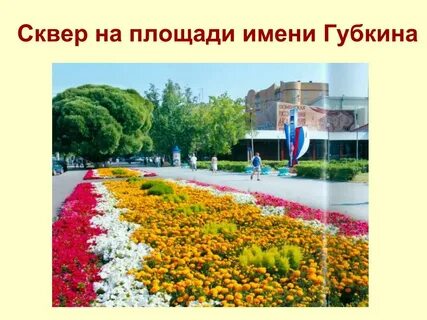 Тюмень губкинский