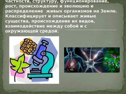 Тезис про биологию