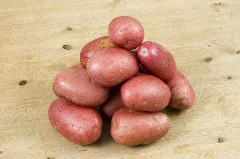 Ранние сорта картофеля в беларуси. Сорт картофеля Журавинка. Сорт картошки Журавинка. Сорт картофеля Вармас. Картофель Журавинка семена.