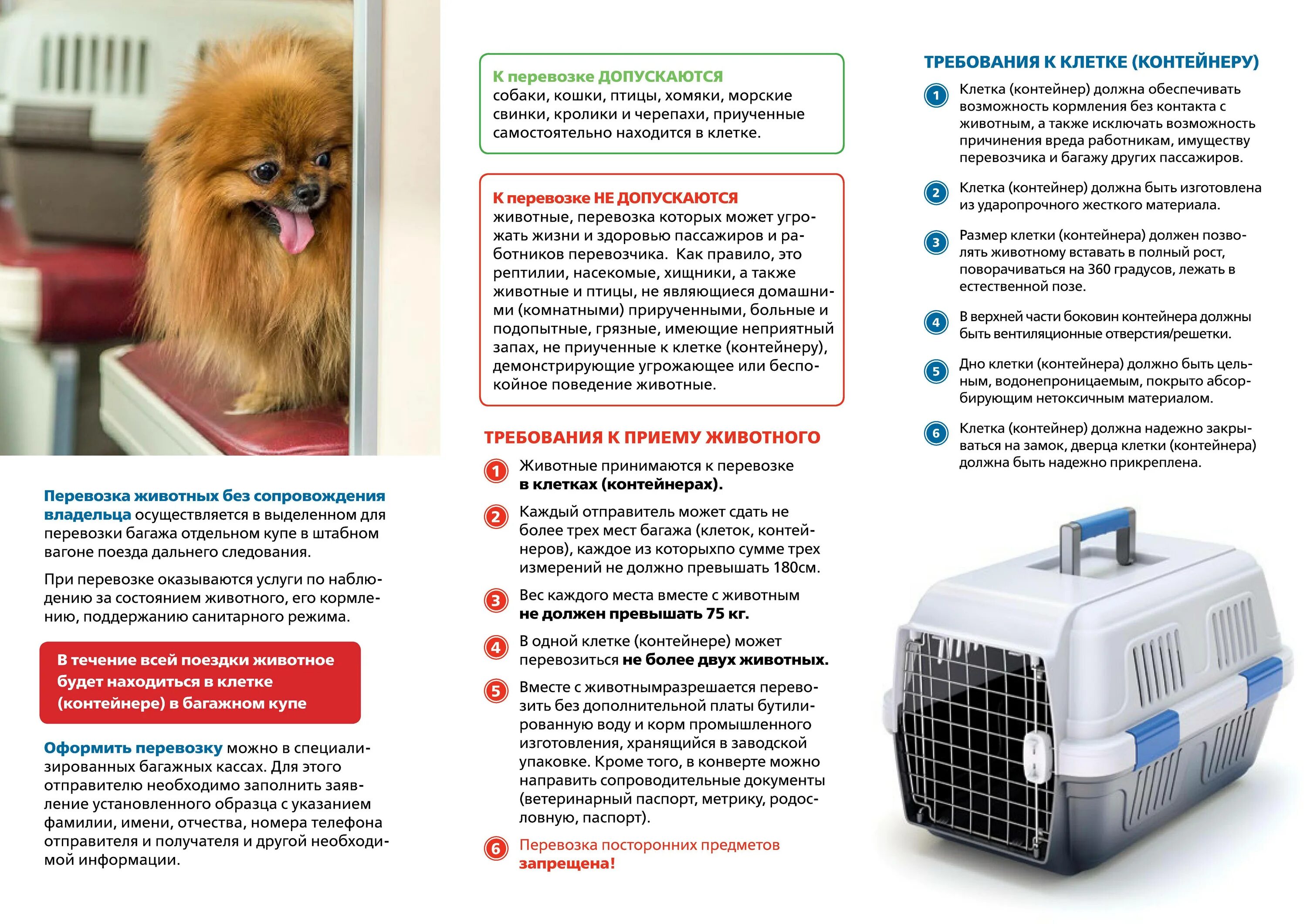 Как провезти собаку в поезде. Порядок провоза животных в поездах. Документы для перевозки собак. Порядок перевозки животных в в РЖД. Правила провоза животных в поездах.