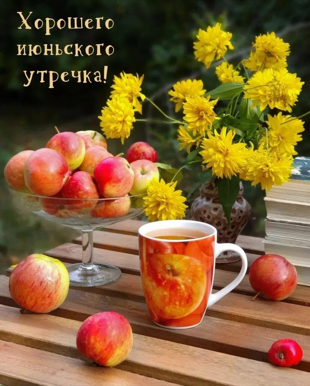 С добрым июньским утром. Доброе июньское утро картинки. Доброе июньское утро открытки с пожеланиями. Утро светлое счастливое картинки. Доброго июньского утра и хорошего дня.