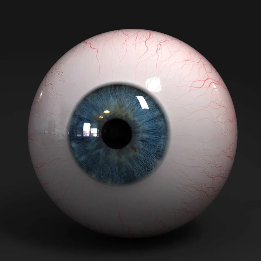 Благородный глаз 3. Глазное яблоко референс. Круглые глаза.