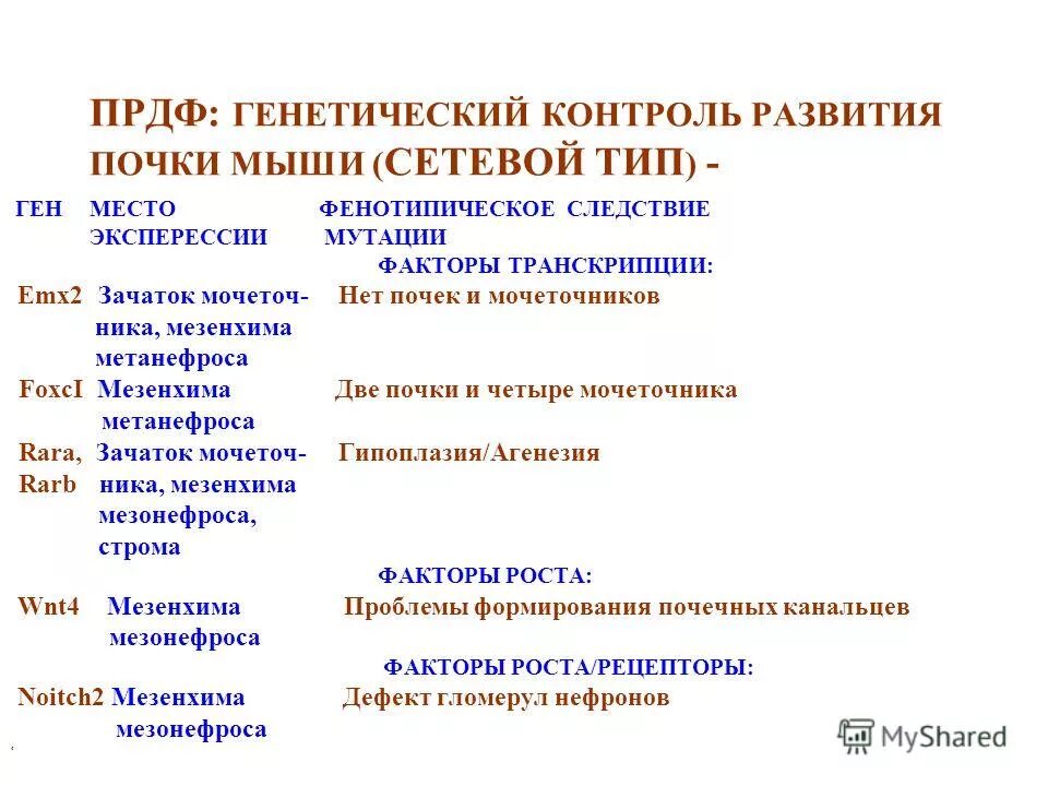 Генетический контроль развития. Как осуществляется генетический контроль развития. генетический контроль над индивидуального развития. транскрипционный факторы и мутации.