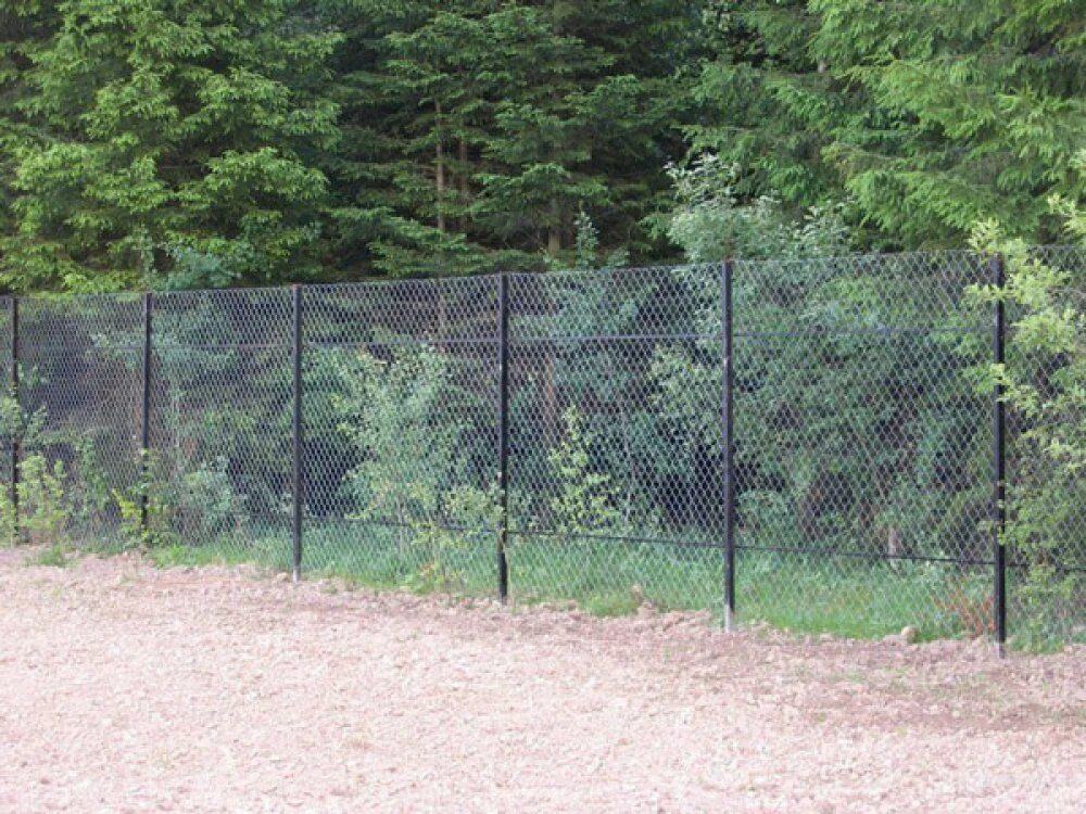 Сколько стоит поставить забор из сетки. Сетка заборная 50*100 металл-полимер (1.5*20м). Забор рабица. Забор из сетки рабицы. Ограждение из сетки рабица.