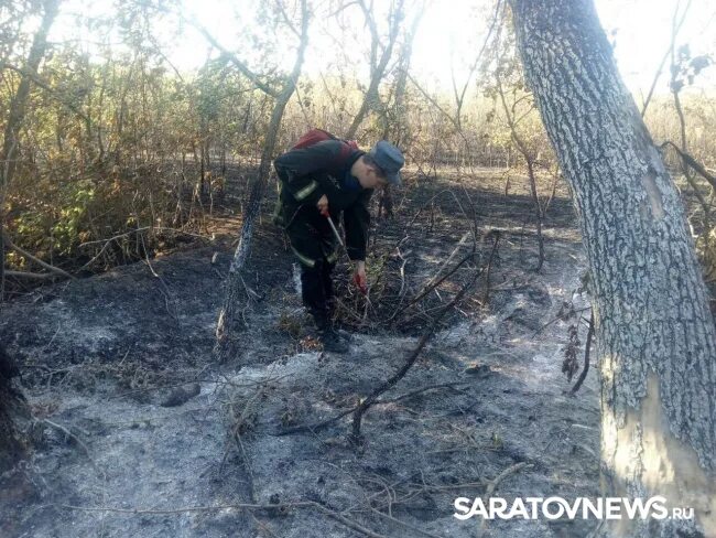 Село атаевка. Саратовская область село атаевка. Погода атаевка. Село атаевка. Деревня атаевка.