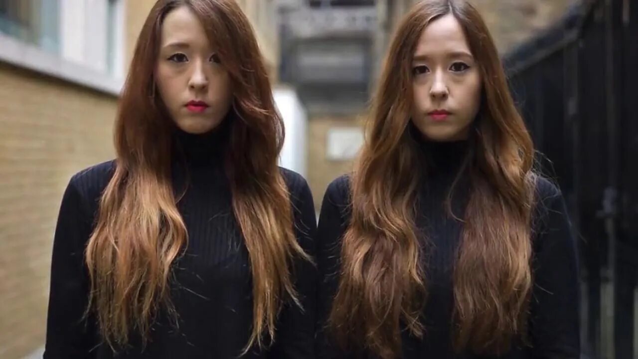 Близнецы. Монозиготные близнецы генотип. Однояйцевые и разнояйцевые. Близнецы питер зелевски. Социальная идентичность личности виды.