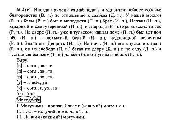 Ладыженская 5 класс 2 часть упражнение 675. Иногда приходится наблюдать и удивительнейшее. Русский язык 5 класс упражнение 604. Упражнение 604 по русскому языку 5 класс ладыженская.