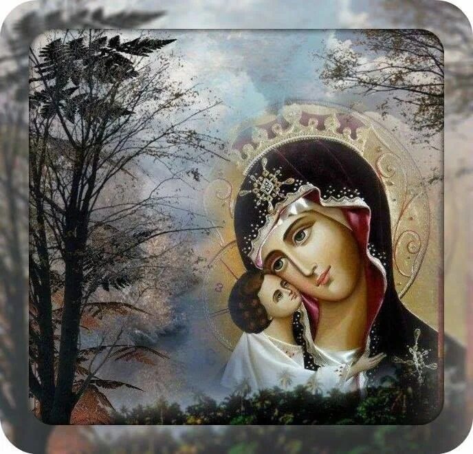 Каждую божью ночь