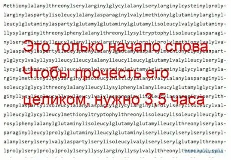 Слова для больших женщин