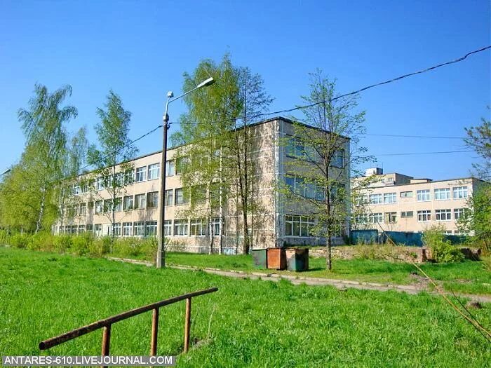 Гимназия г. Фрязино Московской области, гимназия, Полевая ул., 18А, Фрязино - Ян