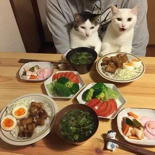 Покажи что они едят