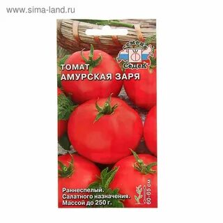 Томат зори