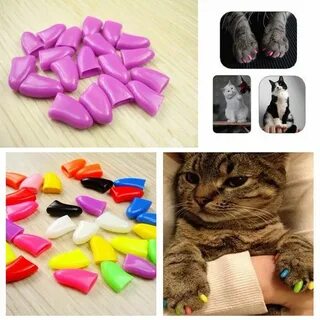 Loved pet cat