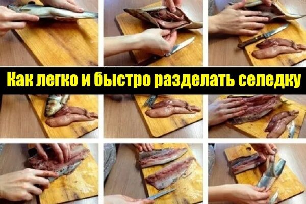 Почистить селедку от костей правильно быстро видео. Как разделать селёдку от костей на филе. способы разделки селедки.