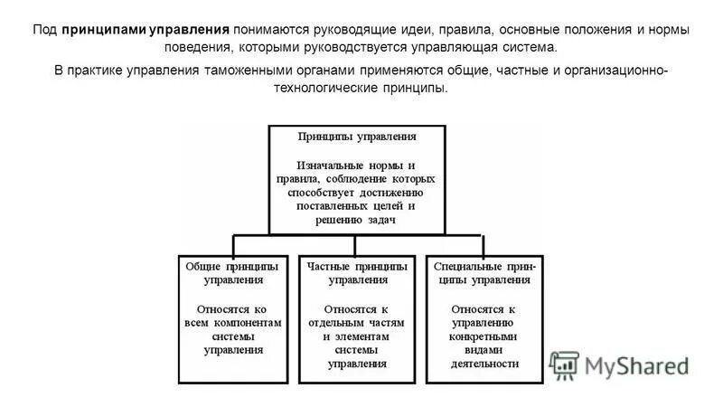 законы и принципы управления таможенными органами. принципы управления в таможенных органах. объективные законы управления. принципы таможенного управления.