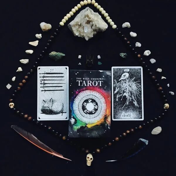 Дикое неизвестное таро. Колода дикое неизвестное Таро. Колода Таро the Wild Unknown Tarot. Таро дикой магии. The Wild Magic Tarot. Таро дикое неизведанное Таро.