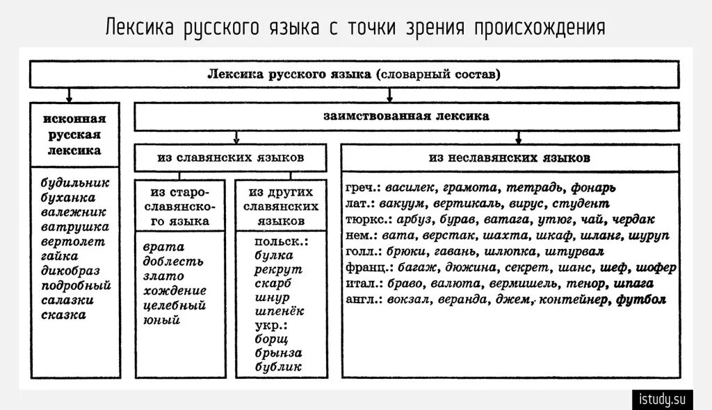 Происхождение лексики современного русского языка таблица. Происхождение лексики современного русского языка схема. Таблица лексика с точки зрения её употребления. Лексика с точки зрения происхождения. Схемы лексики