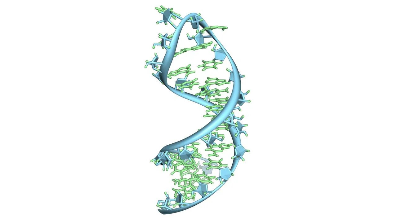 Longer design. ДНК красивая картинка. ДНК арт. ДНК клипарт. Молекулярная биология фон.