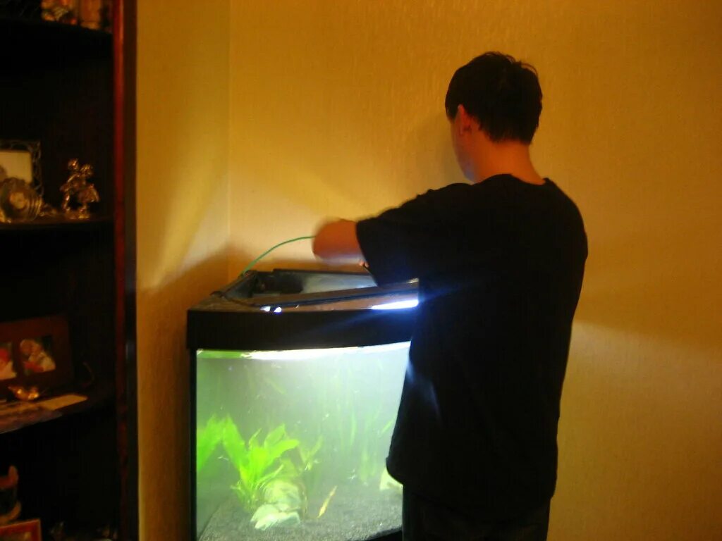 обслуживание аквариумов. чистка аквариума. чистка стенок аквариума. экспозиция аквариума. чистка аквариума.