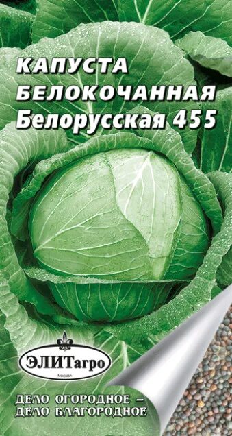 Какую выбрать капусту для квашения eCookie.ru
