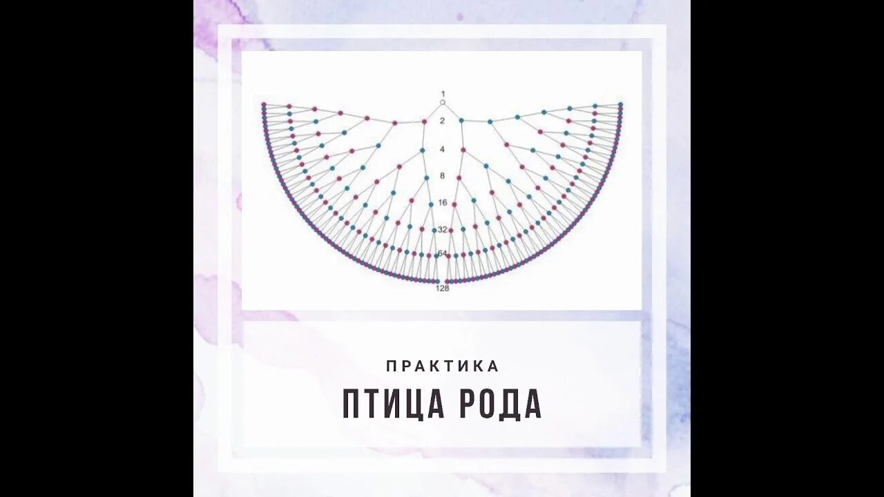 Птица рода схема. Семь поколений предков. Семипоколенная карта рода птица. Родовая птица. Схема генограммы 7 поколений.