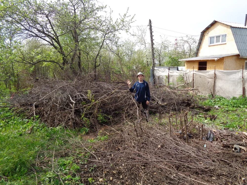 Вывоз веток с участка цена. Вывоз веток с дачного участка. Вывоз спиленных деревьев с дачного участка. Вывоз веток с участка в Псебае. Вывоз веток с участка Подосинки.