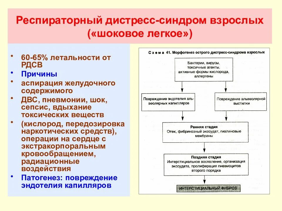 Респираторный дистресс синдром взрослых. Респираторный дистресс синдром причины. ОРДС патогенез. Механизм развития острого респираторного дистресс синдрома.