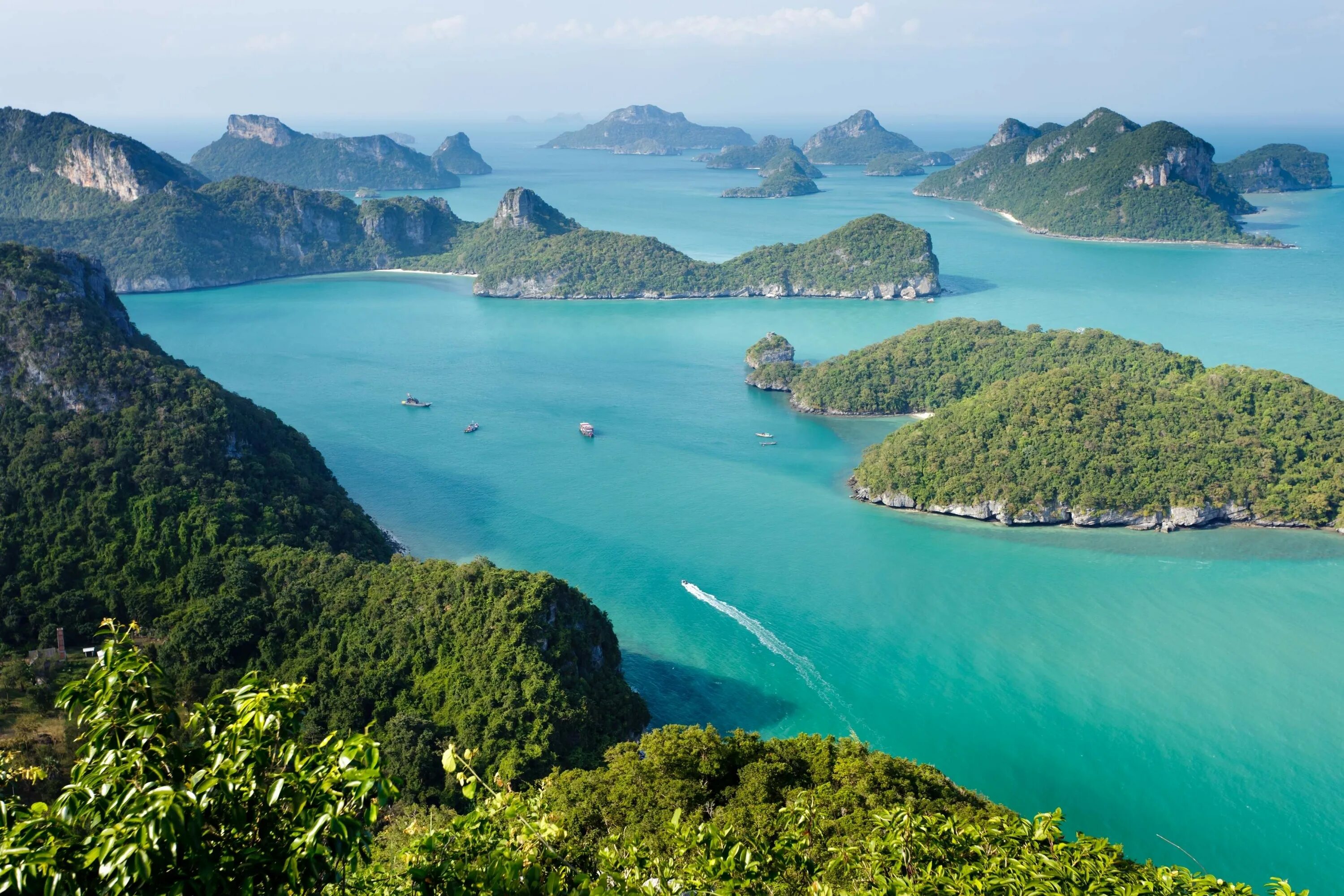 Сиамский чанг. Остров Самуи. Тайланд Самуи. Таиланд остров Koh Samui. Чанг (остров).