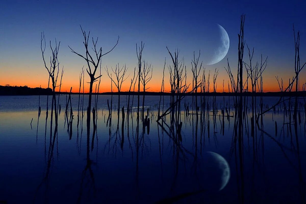 Луна купается. Пейзаж с луной. Месяц над озером. Отражение Луны. Луна над озером.