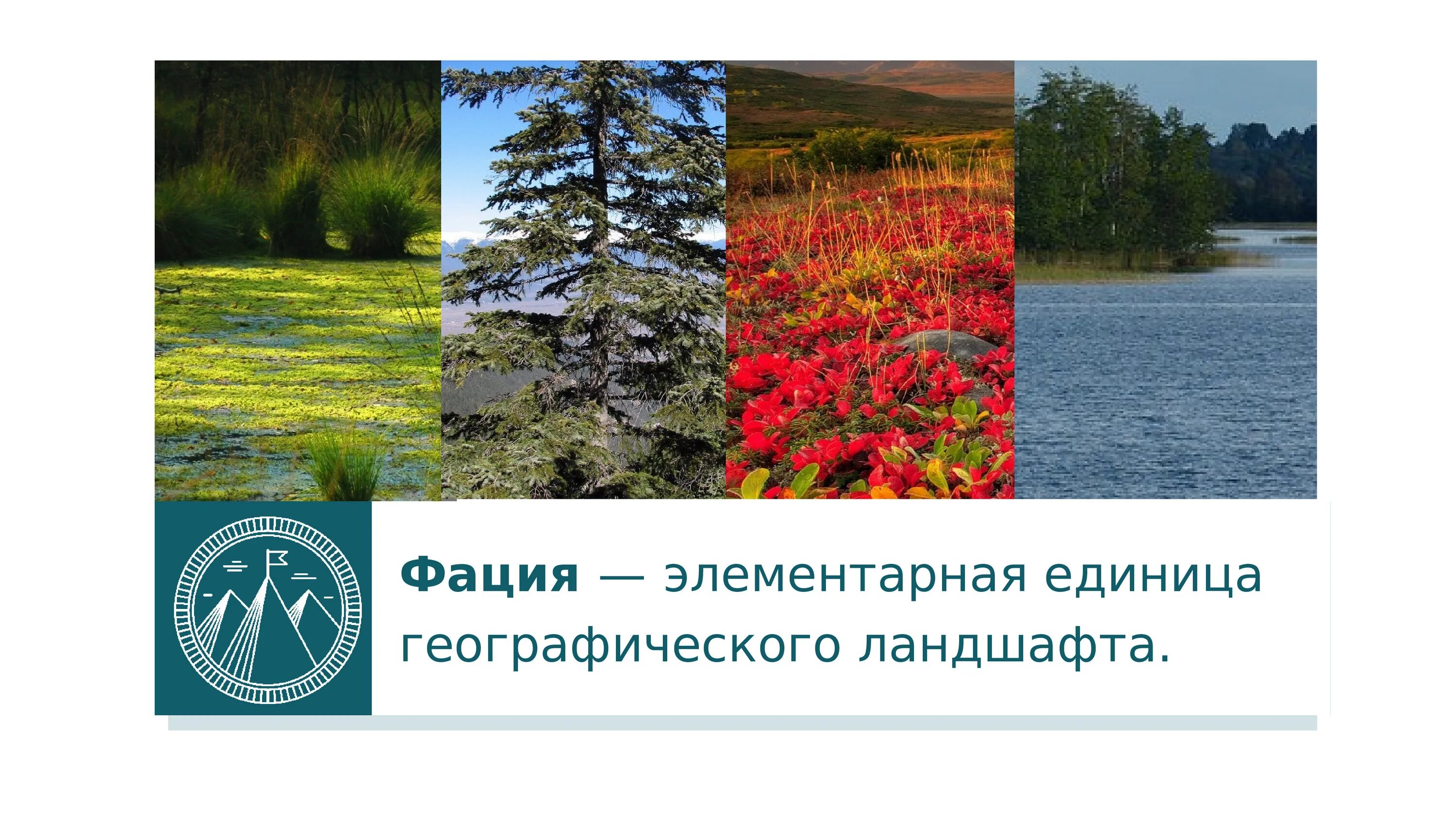 Элементы природного ландшафта. Географический ландшафт примеры. Природные единицы это в географии. Понятие ландшафт. Эндогенные факторы рельефообразования.